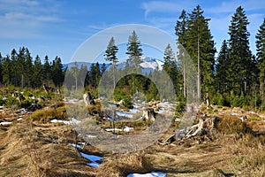 Arber, Spring Landscape, Å piÄÃ¡k, ski resort, Bohemian Forest (Å umava), Czech Republic